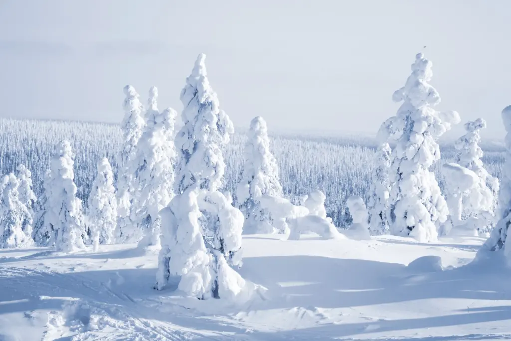 Lapland vakanties, dat is meer dan alleen sneeuw, ijs en noorderlicht. Lapland is ook in de zomer een unieke bestemming.