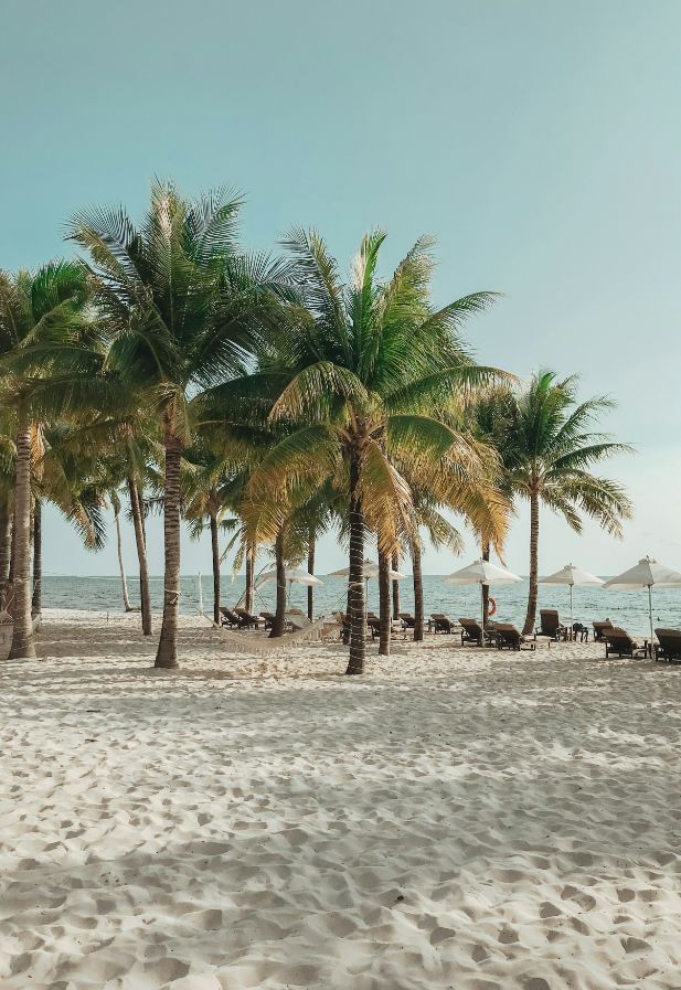 Mooiste stranden in Vietnam tijdens rondreis