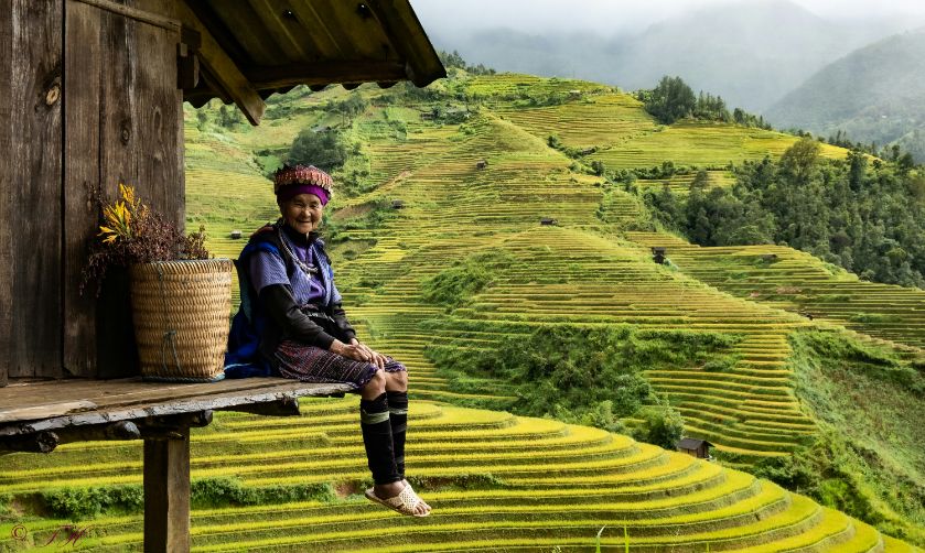 Beste route door Noord-Vietnam in 2 weken met bezoek aan sapa rijstvelden