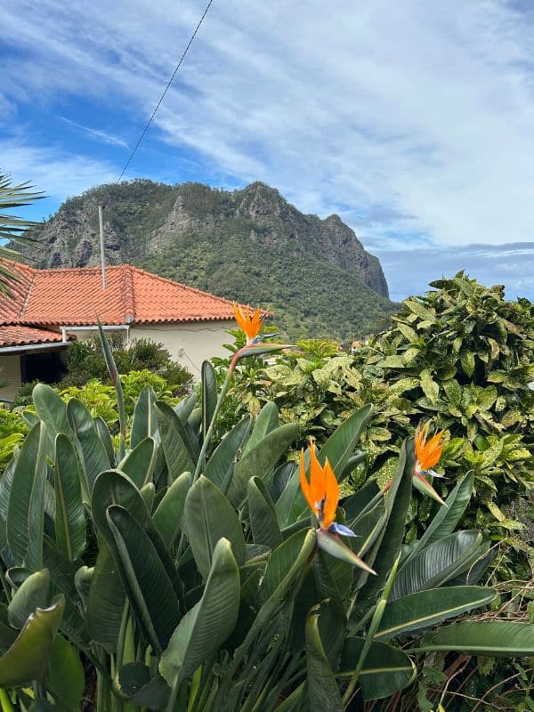 Tropische planten en prachtige vergezichten tijdens onze AIDA cruise Canarische Eilanden