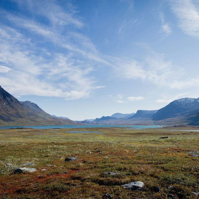 Hiken in Lapland in de zomer in Abisko National Park