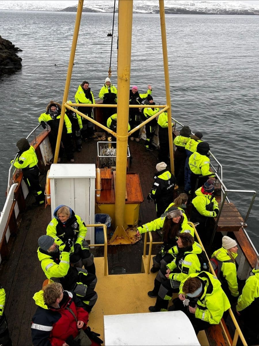 Walvissen spotten tijdens een ethische walvistour
