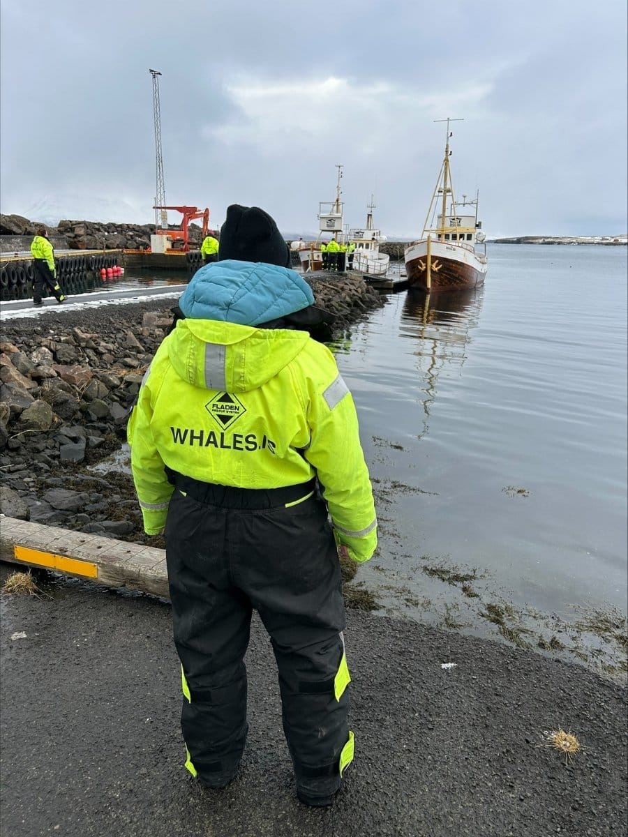 Ethische walvissafari in het noorden van IJsland